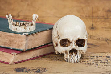 Human Skull and old text book on Old map Background