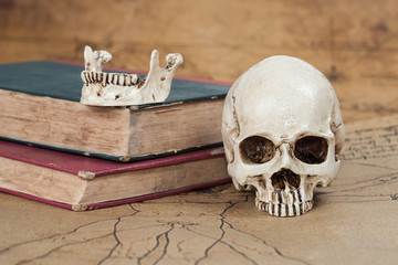 Human Skull and old text book on Old map Background