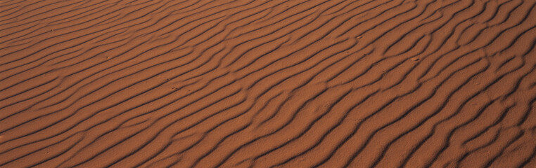 These are the pink sand dunes in Coral Pink Sand Dunes State Park. There are line patterns in the sand from the wind.