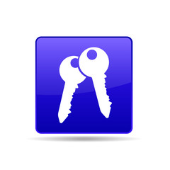 vector icon key