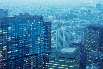 Fototapeta na wymiar Cityscape of Tokyo, the view from free observator of Tokyo Metro