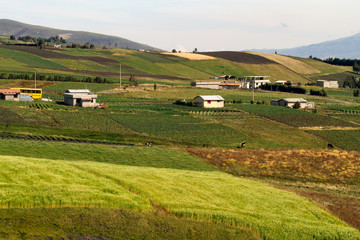 Beautiful crop field plantations in Oyacachi, Ecuador