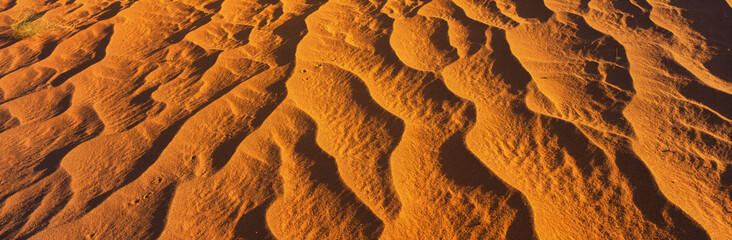 These are red sand dunes in morning light. There are line patterns in the sand from the wind.