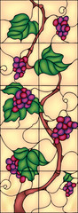 Beautiful grape with leaves, decor idea, vector illustration in stained glass style