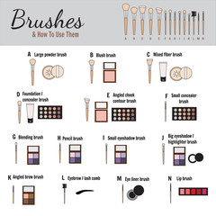 Brushes for makeup - vector illustration