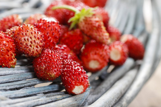 Wild strawberries