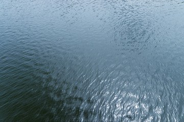 surface of the water
