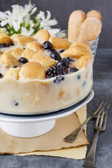 Blueberry and blackberry cheesecake with ladyfinger biscuits
