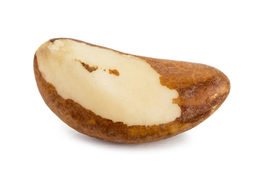 Close-up of a single brazil nut with a shadow, isolated on white background.