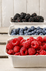 Raspberries, blueberries and blackberries in carton boxes