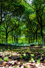 br&uuml;cken Park in Jiangyin china