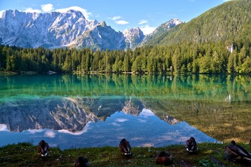 Naklejka premium Laghi di Fusine - Weissenfelser Seen - Belopeška jezera (in the background Mangart) Summer 2015