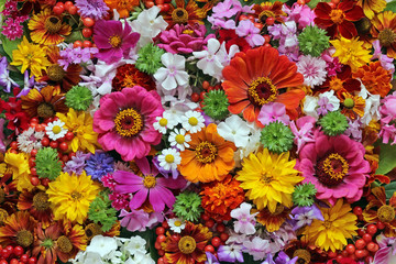 Obraz premium Flower background. A background from cultivated flowers.
