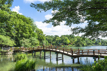 洗足池公園の太鼓橋