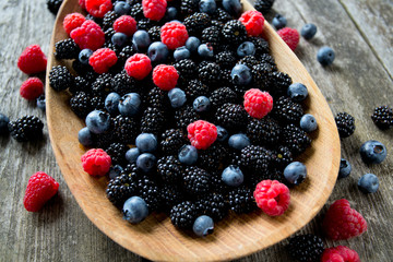 forest berres in a wooden bowl