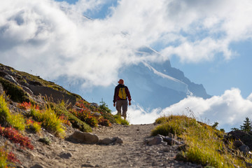 Fototapeta premium Hike