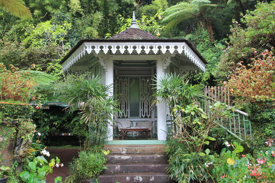 jardin de la maison folio &agrave; Hell Bourg, 974