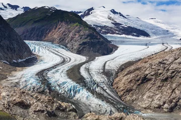 Crédence de cuisine en verre imprimé Glaciers Glacier de saumon