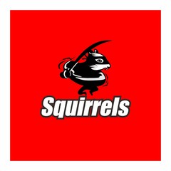 ninja squirels © nenk123