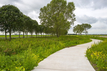 Bicycle path meandering through the countryside