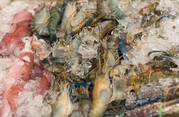raw fresh seafood