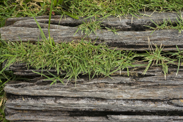 Old wooden sheets on grass
