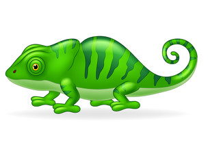 Cartoon cute Chameleon on white background
