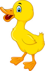 Happy Duck cartoon
