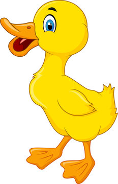 Happy Duck cartoon
