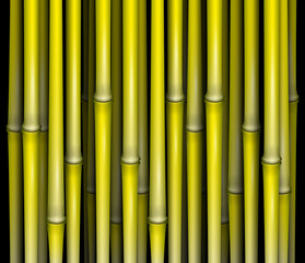 Bamboo abstract vector illustration isolated eps 10