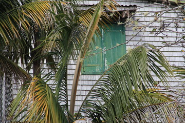Fototapeta na wymiar cases créoles, île de la Réunion