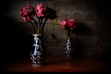Bouquet of Pink Lotus on dark brick background, Dramatic lighting, Selective focus.