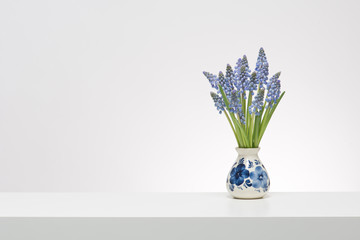 Bouquet of blue small grape hyacinths in a white interior, on a white shelf on a white background in a delfts blue vase