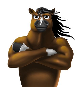 cavallo bc