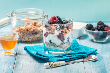 bowl of muesli and yogurt with fresh berries
