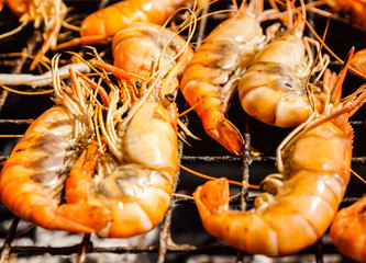shrimp grill