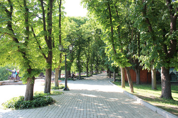 Fototapeta na wymiar city park with path and green trees