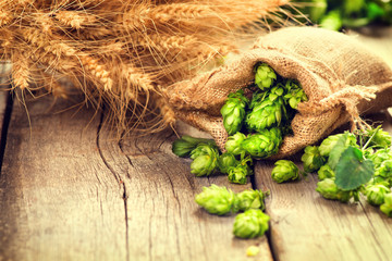 Hop in bag and wheat ears on wooden cracked old table. Brewery concept