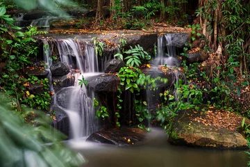  Small waterfall on the rocks in the forest © pixs4u