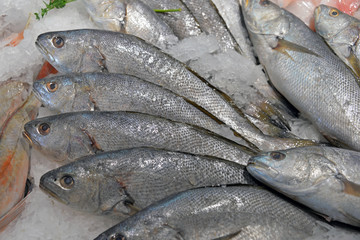 fangfrische Speisefisch Auswahl am Marktstand in Spanien
