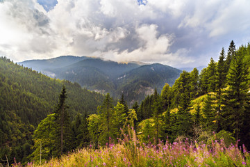 beautiful wild mountain landscape in the Carpathian Mountains, R