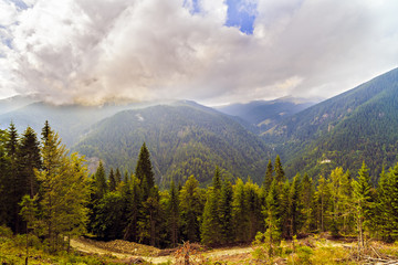 beautiful wild mountain landscape in the Carpathian Mountains, R