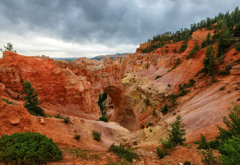 Natural Stone Bridge/Arch at Bryce Canyon