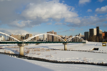 Fototapeta premium 雪の豊平川