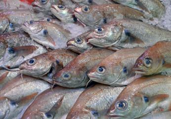 fangfrische Speisefisch Auswahl am Marktstand in Spanien