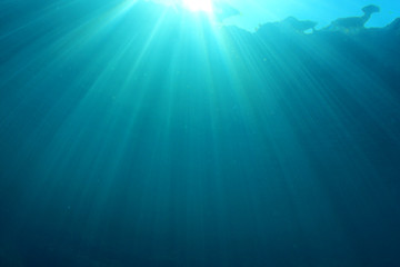 Underwater blue background in ocean