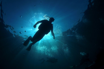Fototapeta na wymiar Scuba diver silhouette underwater