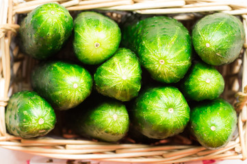 Cucumbers are in the basket