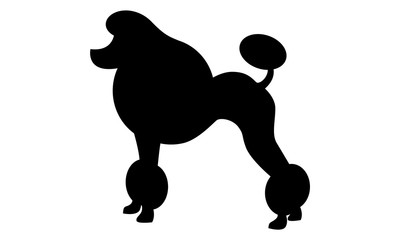Pudel Silhouette