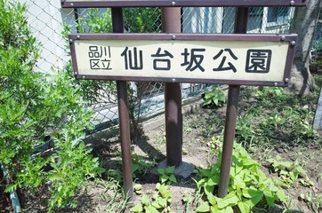 Sendaizaka park in Aomonoyokocho Japan